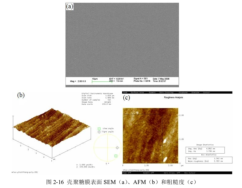 圖3-1 殼聚糖膜表面SEM(a)、AFM(b)和粗糙度(c) 